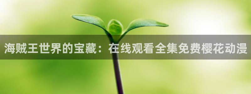 囧次元无广告：海贼王世界的宝藏：在线观看全集免费樱花动漫