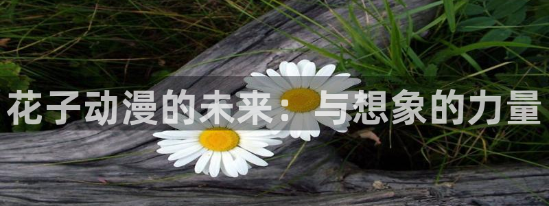 囧次元网站：花子动漫的未来：与想象的力量