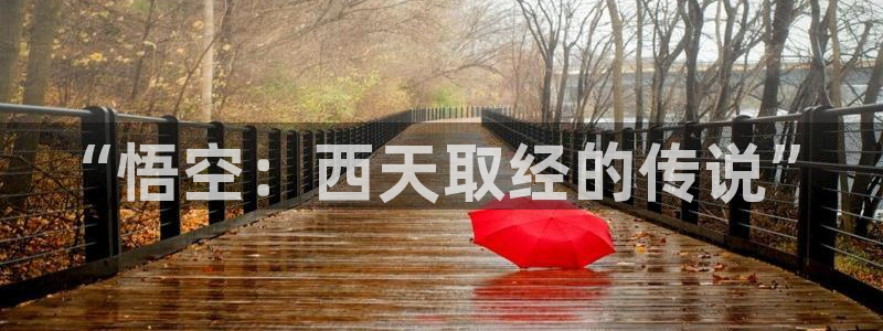 囧次元下：“悟空：西天取经的传说”