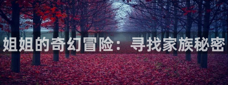 囧次元免费看动漫：姐姐的奇幻冒险：寻找家族秘密