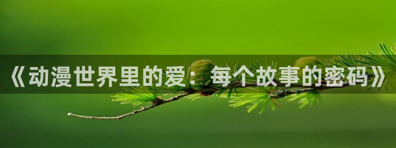 囧次元旧版：《动漫世界里的爱：每个故事的密码》